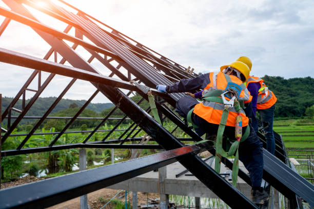 Best Roof Waterproofing Services  in Richton Park, IL