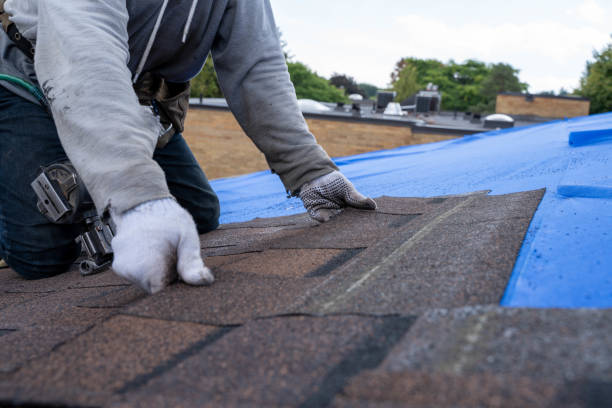 Trusted Richton Park, IL Roofing Contractor Experts