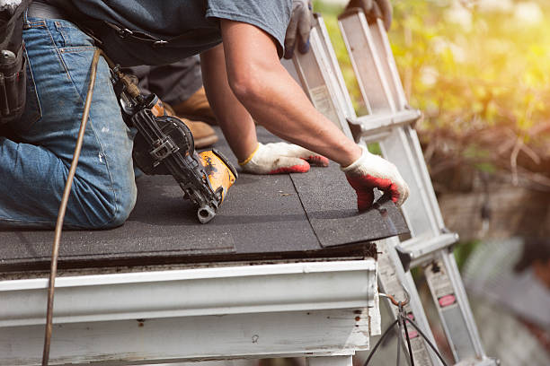 Best Flat Roof Repair Services  in Richton Park, IL