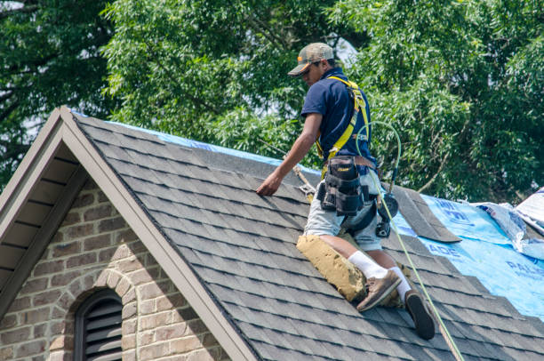 Best Slate Roofing Contractor  in Richton Park, IL